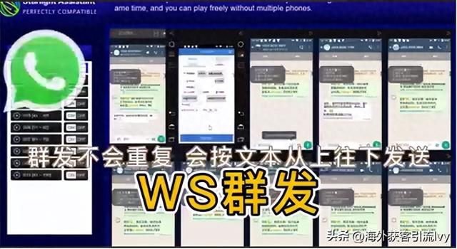 最全的whatsapp群发使用指南