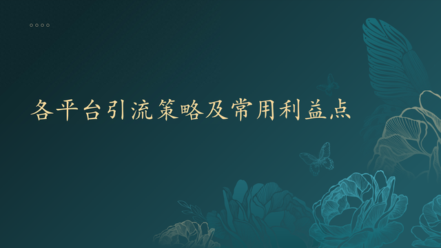 2024 十大平台私域引流全攻略及常用利益点解析